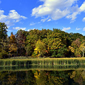 lake and trees in the United States